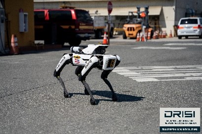 Mobile Robot security guard dog.